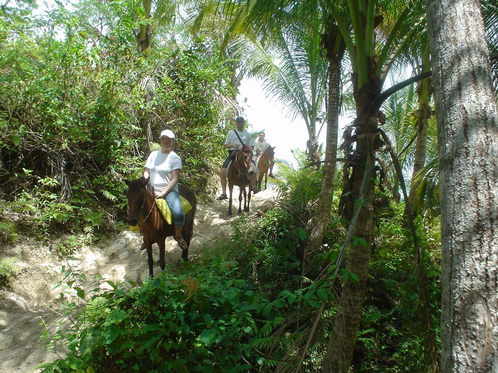 Tipolo Beach Resort Moalboal Bagian luar foto